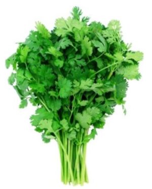Cilantro Buch