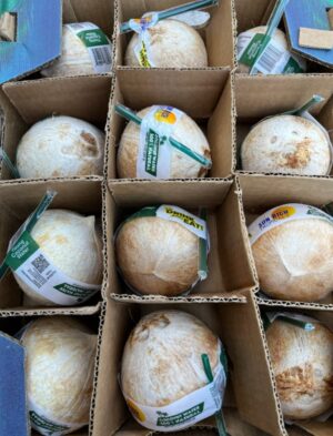 Coconut water 100% natural - Image 3