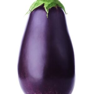 Fancy Eggplant, bagged - 5 lbs