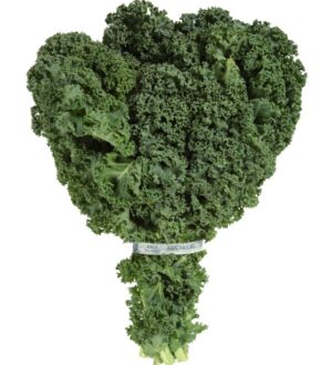 Kale - 4 -5 Ct Bag - Image 2