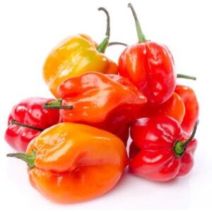 Habanero Aprox 10-12 Lbs