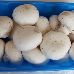 Whole White Mushroom 12 Oz