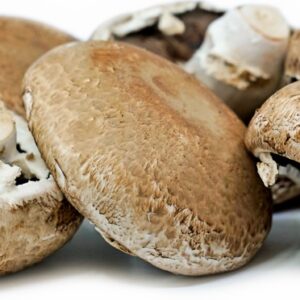 Portabella Mushrooms 5 lbs