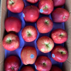Red Apple 72ct