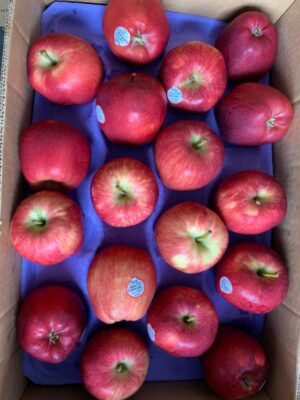 Red Apple 72ct