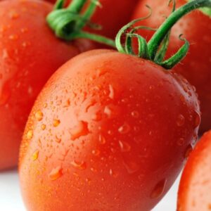 Fresh Tomato Plum 5 Lb