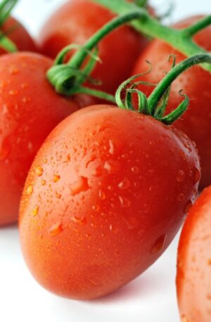 Fresh Tomato Plum 5 Lb