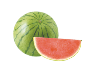 Seedless Watermelon 1 Ct