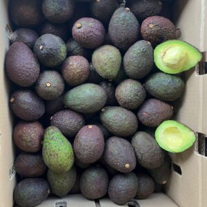 Avocado Hass 70 Ct