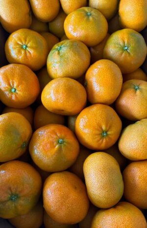 Mandarina - Image 2