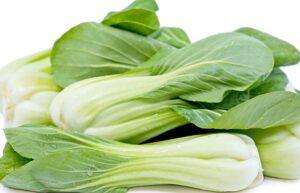Cabbage Boy Choy