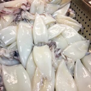 Frozen Jumbo Squid - U/10 - Image 2