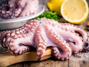 Raw frozen Octopus 6-8 Spain