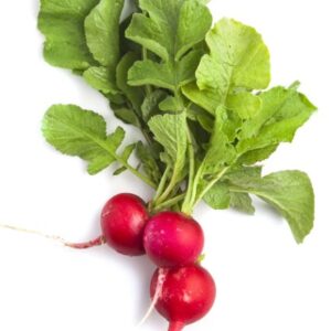 Radish 35-40 Lb