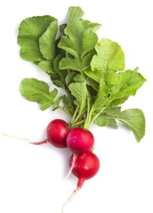 Radish - 6 oz