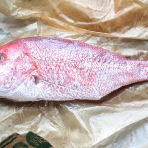 Whole Red Snapper 1.5 - 2 LB wild caught