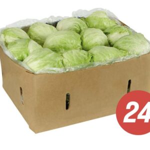 Iceberg Lettuce, Cello-Wrapped / 24-30 Ct