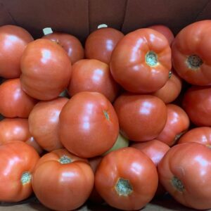 Tomato Vine 5x6 - 25 lb
