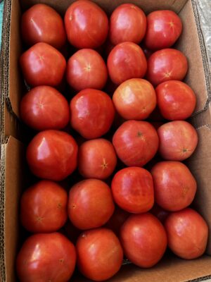 Tomato Vine  6x6 -  (Utility) 25 Lb