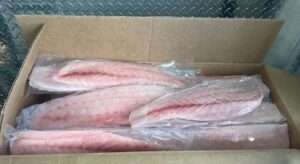 Corvina Fillet 1-3Lb