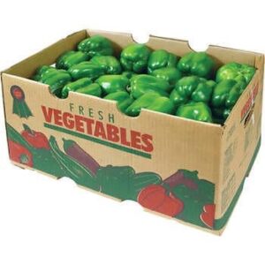 Green Bell Pepper (1/9) 25 Lb Aprox