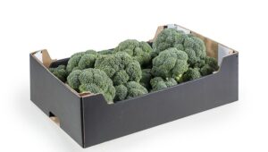 Broccoli Crowns - 20 Lbs