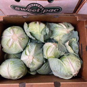 Green Cabbage 45 Lb