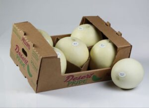 Honeydew