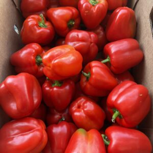 Red Bell Peppers 20 Lb Aprox
