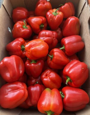 Red Bell Peppers 20 Lb Aprox