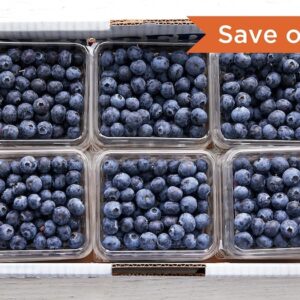 Driscoll Blueberries - 18 Oz