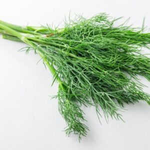 Dill