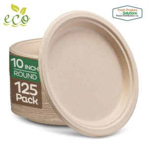 Paper plates sustentable 10in