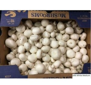 White Medium Mushrooms 10 Lbs