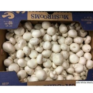 White Medium Mushrooms 10 Lbs