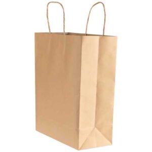Brown Paper Shopping Bag - Senior  Size