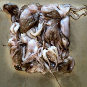 Baby Octopus 2 LB Average