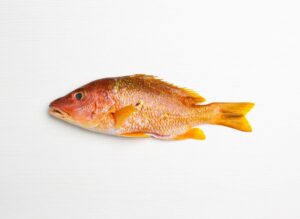 Whole Red Snapper 1-1.5 LB wild caught