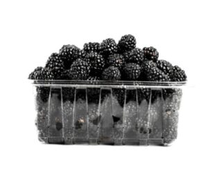 Driscoll - Blackberries