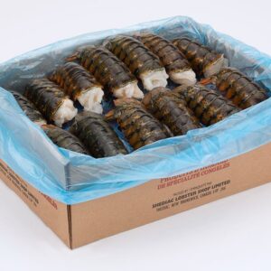 Lobster Tail 10-12oz