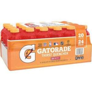 Gatorade - Fruit Punch- 24/20 Oz Plastic Bottles
