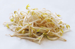 Bean Sprouts - 10 lbs