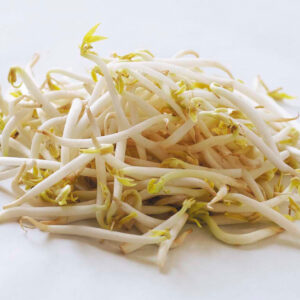 Bean Sprouts - 10 lbs